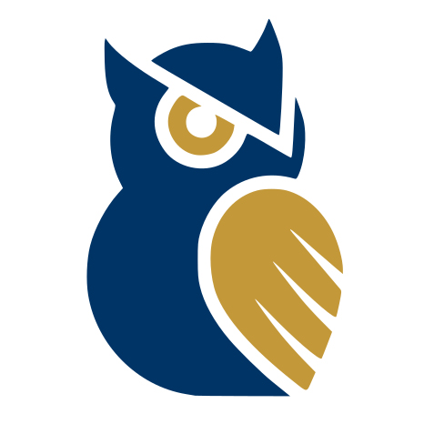 Owl 360 Real Estate Media logo